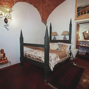 Nest In Florencia